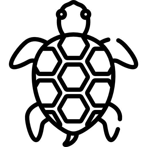 Portfolio de Lucie DELOYE